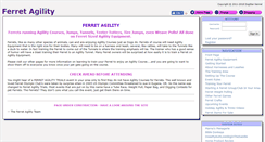 Desktop Screenshot of ferretagility.com