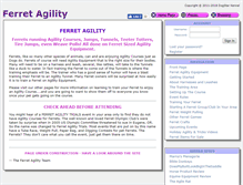Tablet Screenshot of ferretagility.com